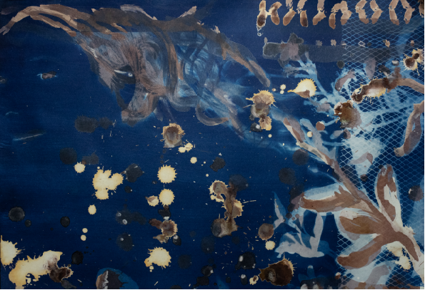 toned cyanotype, self-portrait